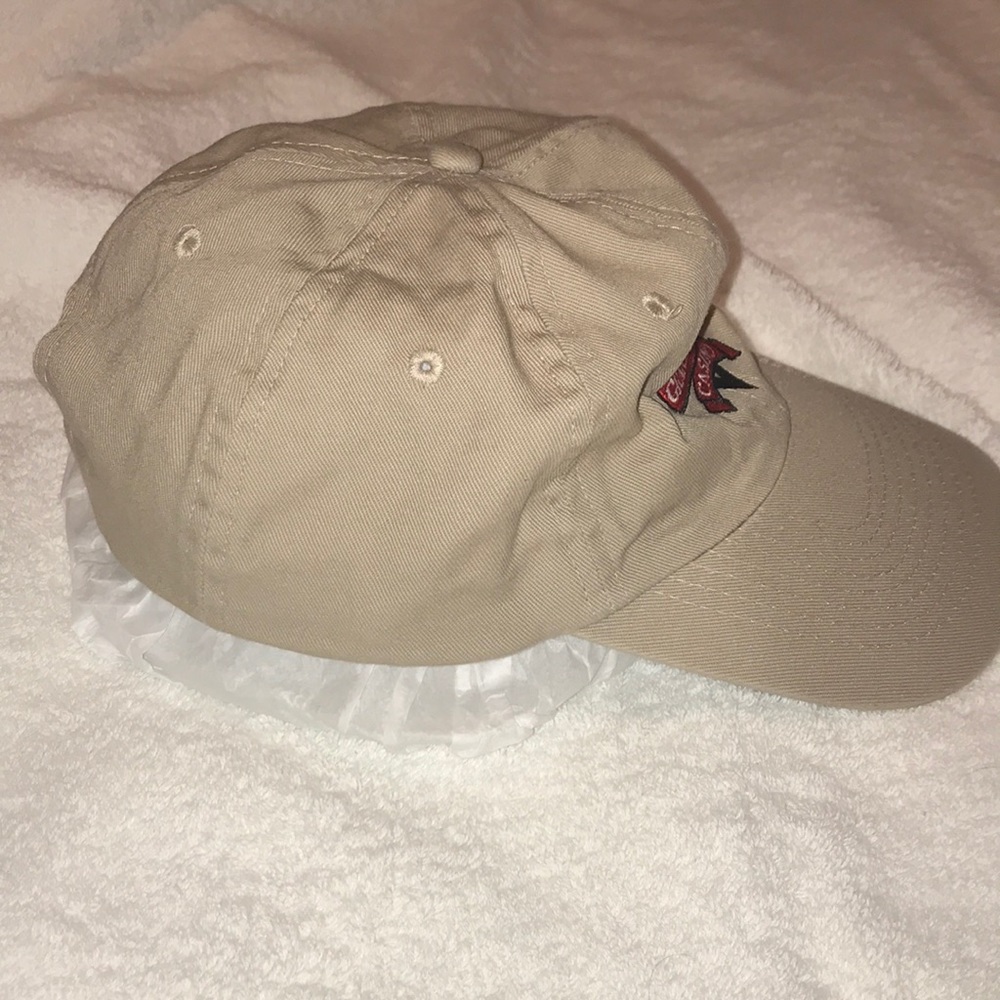 Cap 🧢 - Picture 3 of 5